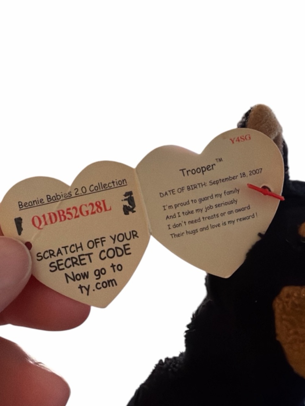 Ty Beanie Baby BB 2.0 TROOPER the Doberman Dog 7" with TAGS Vintage Retired 2008 - Picture 6 of 6